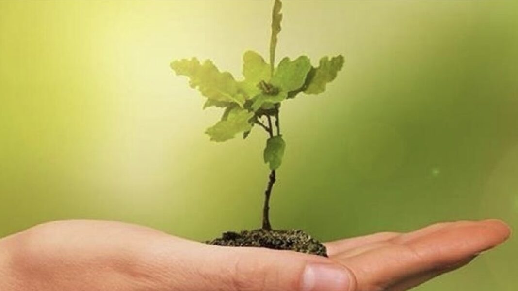 UN Warns the World Is Losing the Climate Battle as Fragile COP30 Deal Keeps Hope Alive