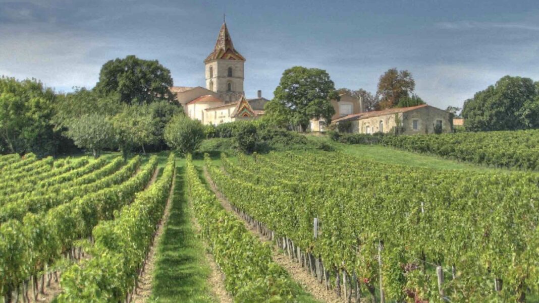 Winemakers Sound Alarm!