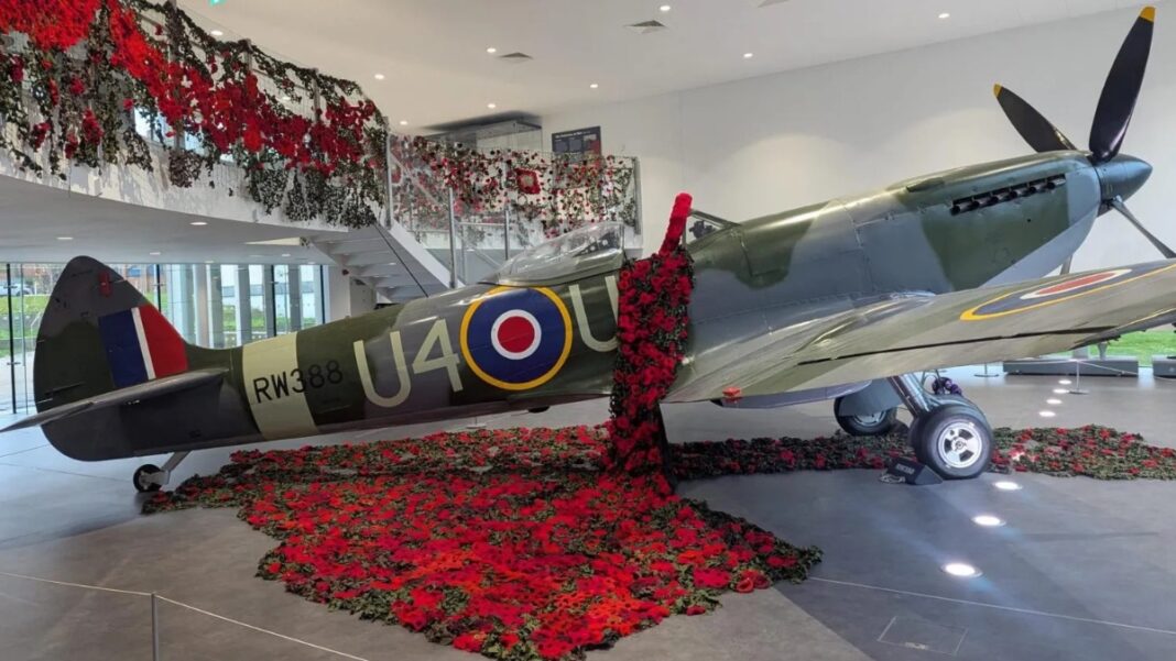 Remembrance Poppies Displayed Across West Midlands