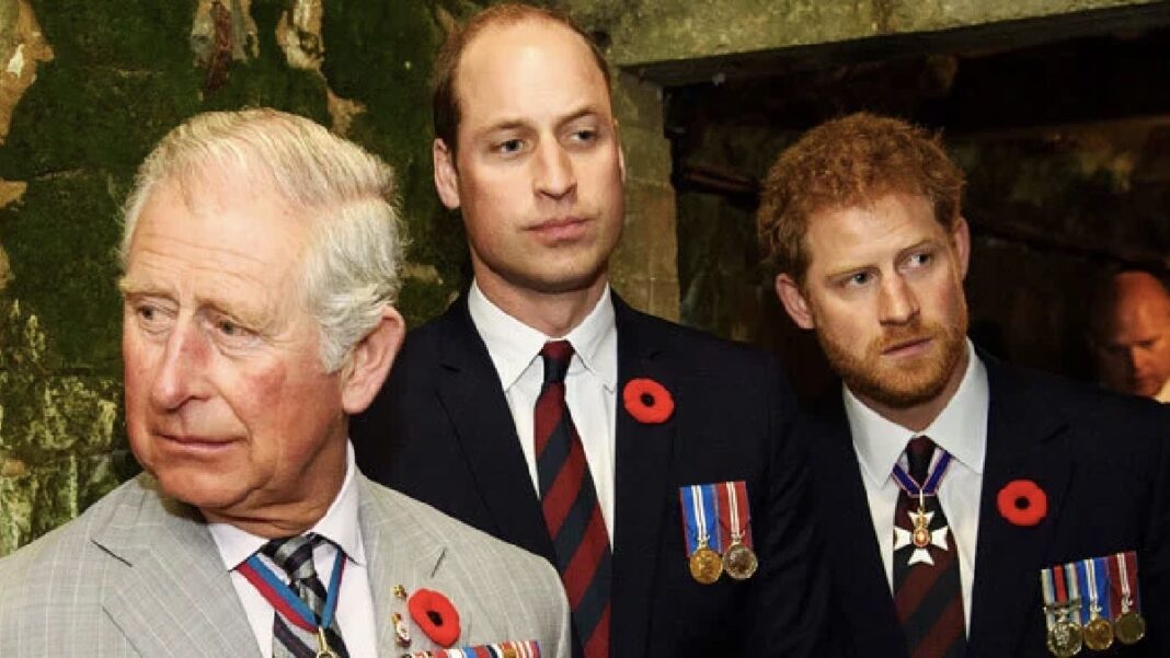 Surprise appearance by Harry and William in film