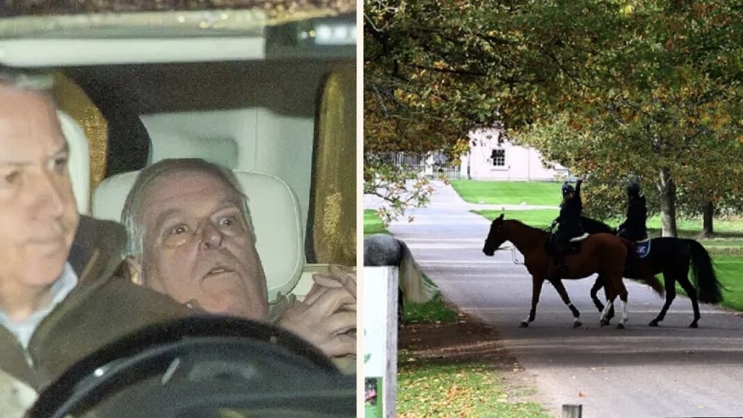 Prince Andrew horseriding ban after arrest probe