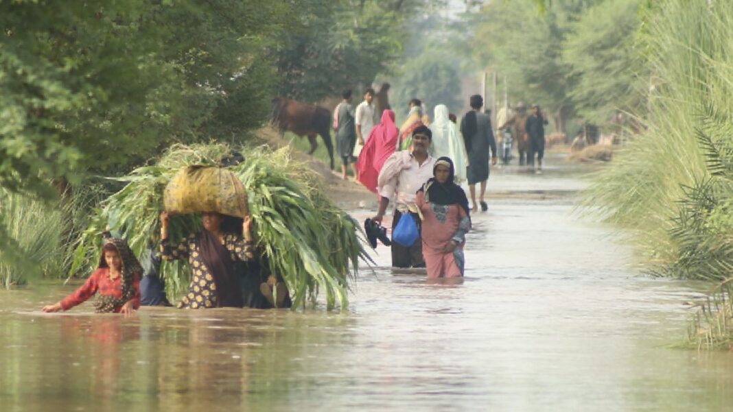 UK to Cut Climate Aid to Poor Nations by One-Fifth