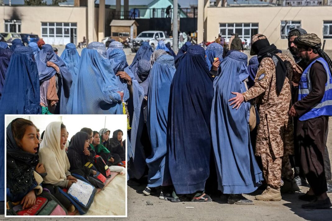 Taliban introduces new child marriage law Taliban introduces new child marriage law