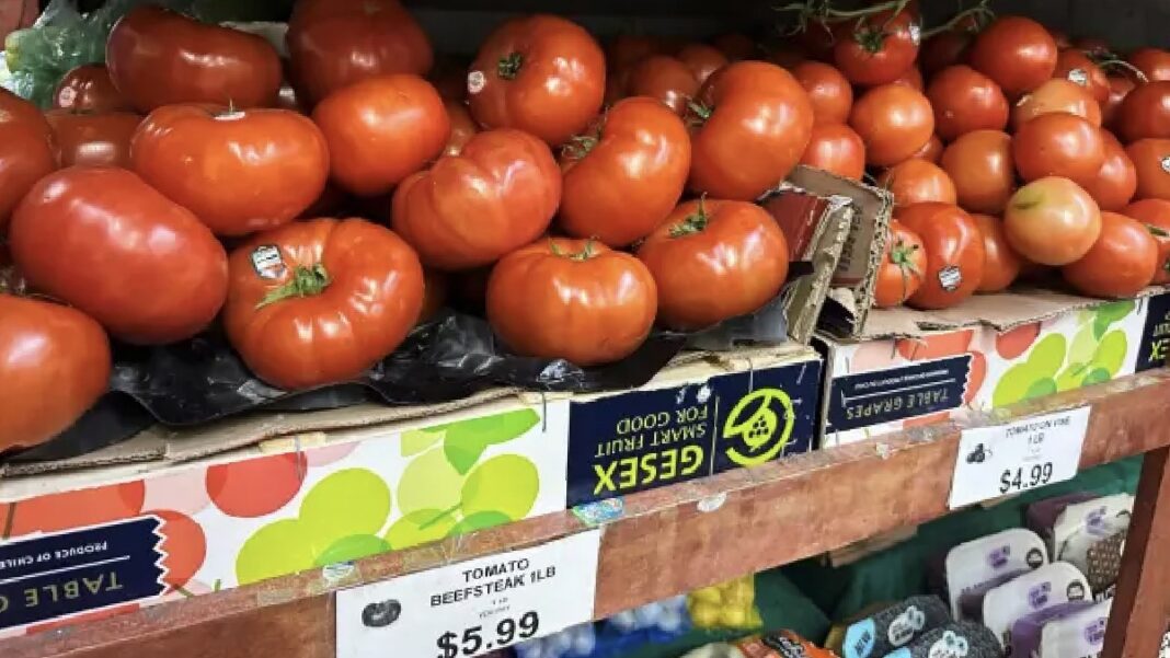 Tomato Prices Soar, Pressuring Household Budgets Tomato Prices Soar, Pressuring Household Budgets