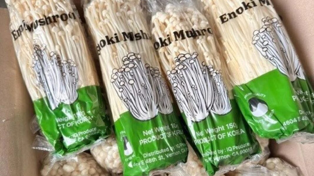 FDA Recalls Enoki Mushrooms Over Risk FDA Recalls Enoki Mushrooms Over Risk