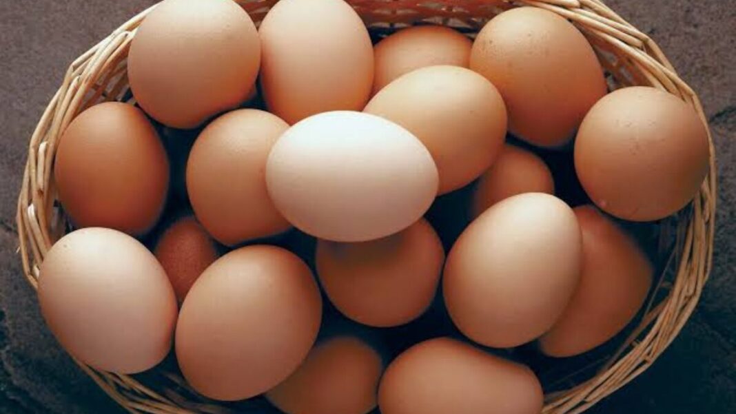 Sainsbury’s switches to white eggs in net-zero push Sainsbury’s switches to white eggs in net-zero push
